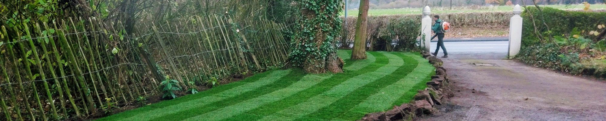 Grass freshly mowed at house in Ellesmere Port