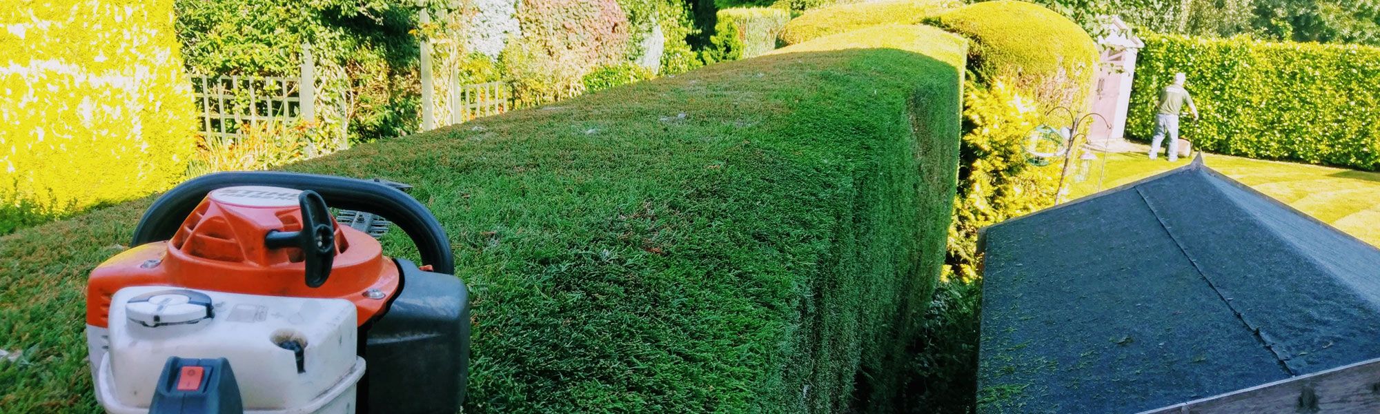 Hedge cutting at property in Ellesmere port